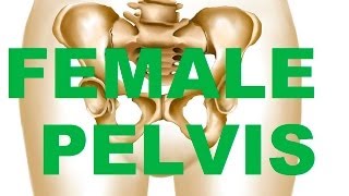 Female Bony Pelvis Types  In relation to CHILDBEARING [upl. by Marrissa]