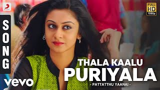 Pattatthu Yaanai  Thala Kaalu Puriyala Song  SS Thaman [upl. by Zaria610]