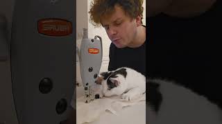 Cat Trains to Be a Seamstress [upl. by Ihpen]