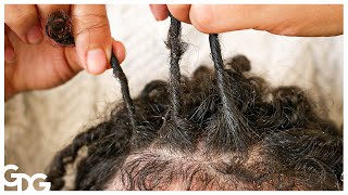 Hairstyle For Short Dreadlocks [upl. by Darees]