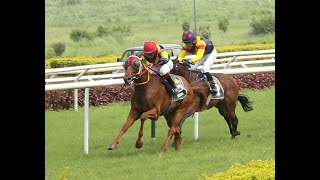 ZUCCARO wins The Western India Trainers Association Trophy Div2 [upl. by Ydor273]