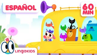 ¡LAS RUEDAS DE BUS en loop 🚍🔄  Lingokids en español [upl. by Galanti]