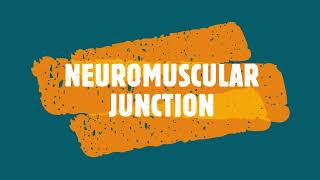 Neuromuscular Synaptic Junction Transmission  Dr Byson EM🩺 [upl. by Airretal515]