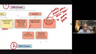 Acellular and Prokaryotic Organisms [upl. by Aniroz22]