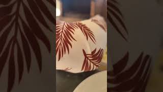 Hurghada Egypt Vacation video youtubeshorts shortvideo food 2023 [upl. by Yrogiarc494]