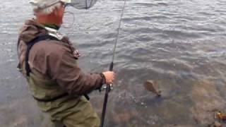 Shad Fishing at the Great Stone Dam Merrimack River [upl. by Ocirderf]