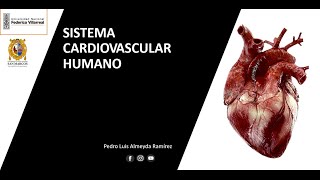 BIOLOGIA  ANATOMIA  SISTEMA CIRCULATORIO [upl. by Igor647]