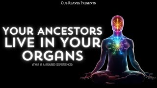 Cue Reaves  Your Ancestors Live in Your Organs this is a shared experience [upl. by Denoting348]