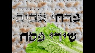 מחרוזת שירי פסח I פרחי אביב I ניצוח גלעד פוטולסקי  pesach songs aviv boys choir [upl. by Ednalrim]