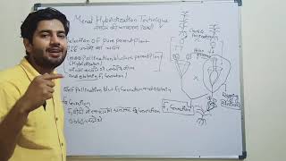 Emasculation amp Bagging Hybridization Technique of mendal।Hybridization Technique of mendal। Genetics [upl. by Ellerehc274]