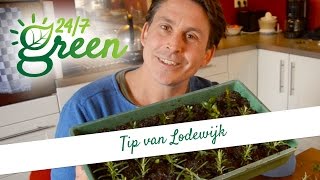 Tip van Lodewijk Stekken [upl. by Anitsuga]