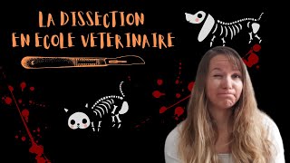 LA DISSECTION PENDANT LES ETUDES VETERINAIRES [upl. by Nicolau416]