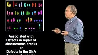 Defects in DNA repair proteins  Jim Haber Brandeis [upl. by Remas]