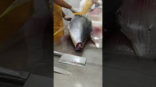 cutting yellowfin tuna from aceh [upl. by Nomyaw]