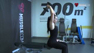 Seated Triceps Press [upl. by Leiad]