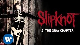 Slipknot  The One That Kills The Least Audio [upl. by Cato920]