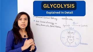 Glycolysis Pathway Explained  biochemistry [upl. by Gower]