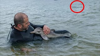 Man saved a baby dolphin and then something shocking happened [upl. by Ahtnamas]