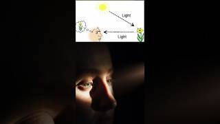 Faster than light speed intresting tamilnews space spacefactsthatwillfreakyouout sciencetamil [upl. by Filmore]