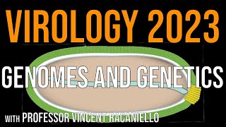 Virology Lectures 2023 3 Genomes and Genetics [upl. by Ariad]