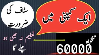 Jobs in Lahore 2024  Jobs in Pakistan 2024 [upl. by Botzow551]