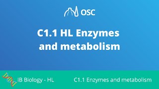 C11 HL Enzymes and Metabolism IB Biology HL [upl. by Smith191]