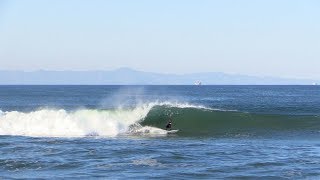 White Pelican Sand Bar Raw  Ventura CA [upl. by Ebonee]