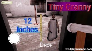 Tiny Granny Full Gameplay [upl. by Attelrak84]