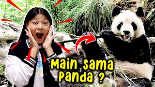 NEMU PANDA ASLI DI SINI  HEWAN NYA CUTE BANGET  Vlog Lucu  CnX Adventurers [upl. by Dragelin]