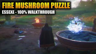 Fire Mushroom Puzzle Essexe  Assassins Creed Valhalla [upl. by Hsilgne]