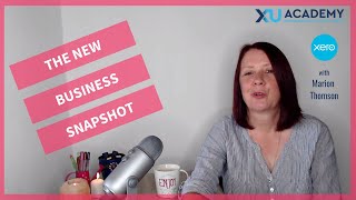 Xero Business Snapshot [upl. by Sassan]