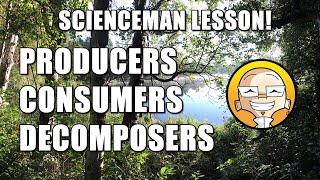 ScienceMan Lesson – Producers Consumers Decomposers [upl. by Baxie668]