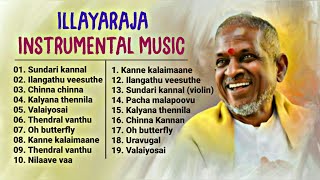 Ilayaraja Instrumental Music amp BGMs  ilayaraja instrumental music collectionFlute Violin veenai [upl. by Yhotmit117]