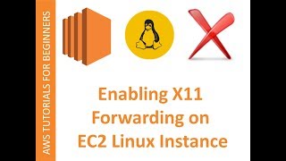 AWS Cloud  EC2 Web Service  Enabling X11 forwarding and running XApplications on LINUX [upl. by Yrrah659]