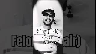 Felony  UmairCover felonyumairtalhayunusTalhahYunus umairmusicxx rockstarwithoutaguitar [upl. by Pollock]