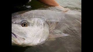 OBX Ocracoke Island Fishing  AnglingLaboratory [upl. by Eiddet]