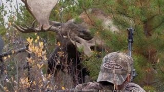 World Record Moose Shot [upl. by Nosrettap]