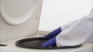 Thermo Scientific General Purpose Centrifuges  Certified Biocontainment with ClickSeal Lids [upl. by Sylas]