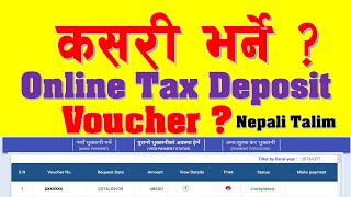 Online कर Deposit भौचर कसरी भर्ने  How to Fill Up Online Tax Deposit Voucher in Nepal [upl. by Hills]