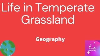 Life in Temperate Grassland  Geography [upl. by Leicam]