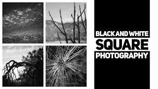 Square Format BampW Digital Photography [upl. by Kare]