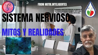 Sistema Nervioso Mitos y Realidades [upl. by Domph]