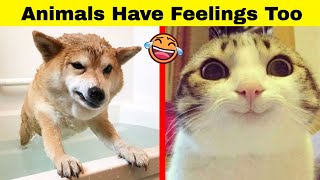 Hilarious Animals Who Simply Can’t Hide Their Emotions [upl. by Nohsad]