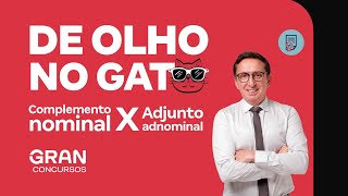 De olho no gato Adjunto adnominal X Complemento nominal [upl. by Neona]