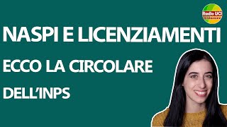 NASPI E LICENZIAMENTI ECCO LA CIRCOLARE DELLINPS [upl. by Thorvald378]