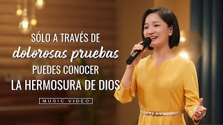 Música cristiana  Sólo a través de dolorosas pruebas puedes conocer la hermosura de Dios [upl. by Adriane226]