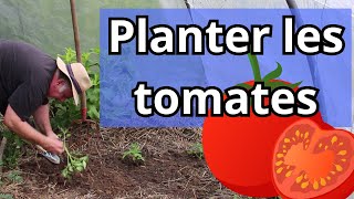 Comment planter des tomates en mai  🍅 [upl. by Fidele]