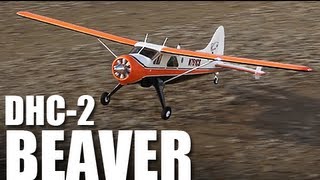 Flite Test  Flyzone DHC2 Beaver  REVIEW [upl. by Ty]