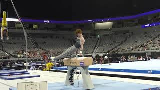 Joshua Karnes  Pommel Horse  2024 Xfinity US Championships  Senior Men Day 2 [upl. by Kiehl]