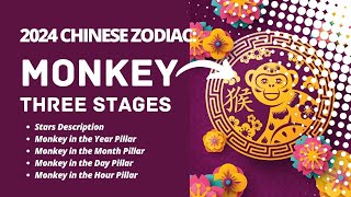 2024 CHINESE ZODIAC  MONKEY SUB [upl. by Webb973]